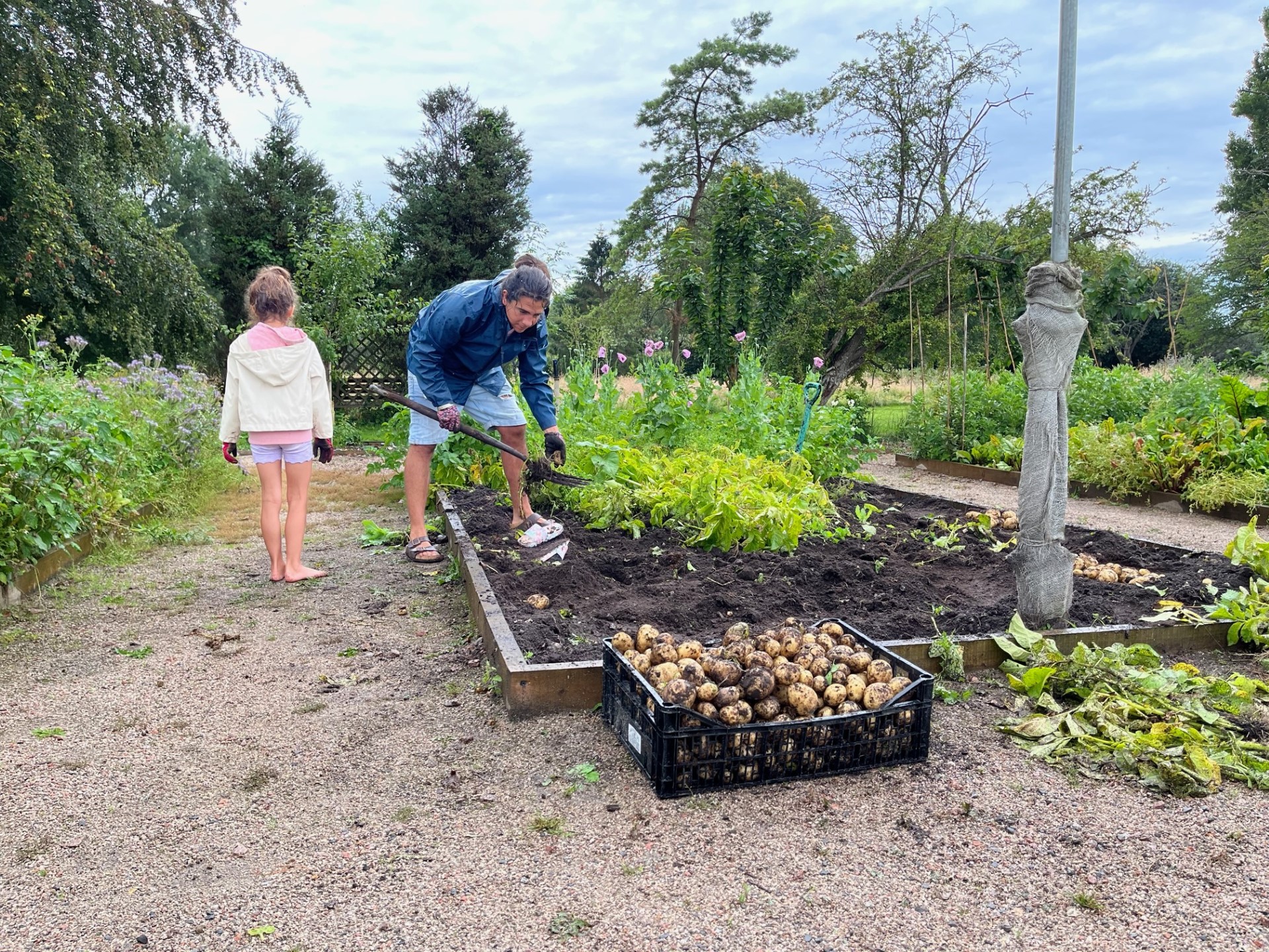 You are currently viewing Community food garden