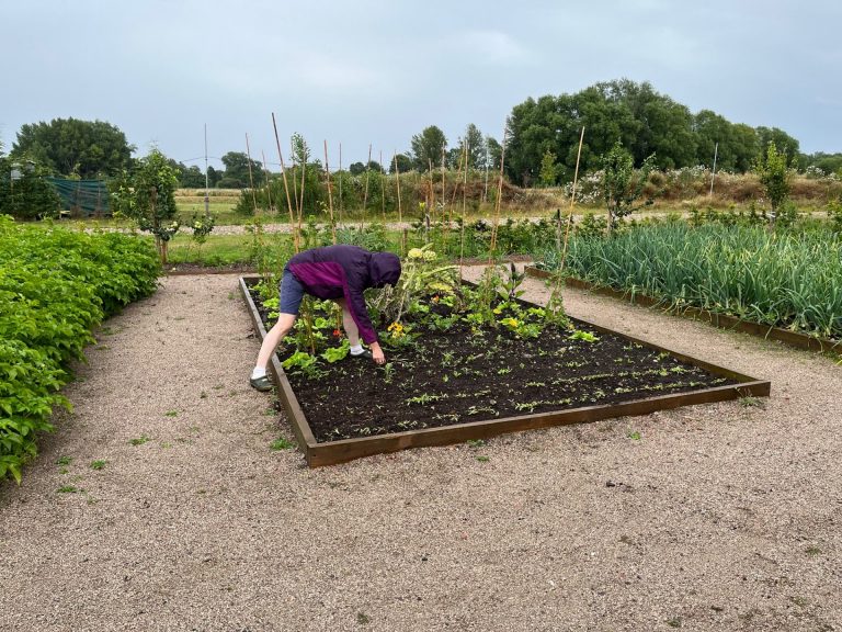 Rain makes weeding easier!