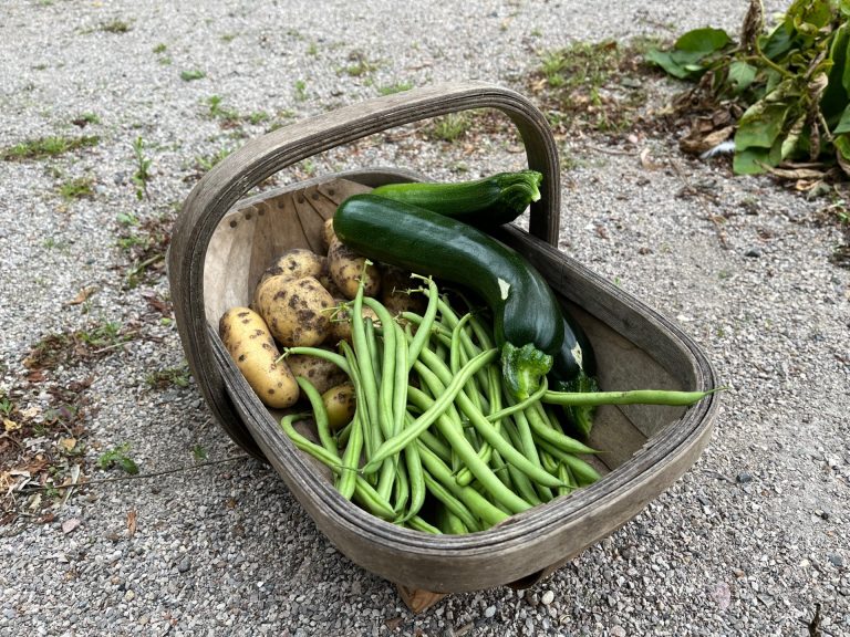 A tasty harvest to take home